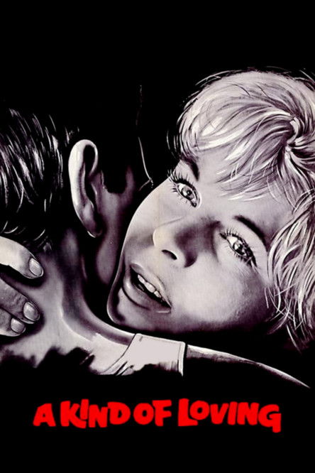 My Little Pony Friendship is Magic มายลิตเติ้ลโพนี่ มหัศจรรย์แห่งมิตรภาพ Season 3 Vol.3 (2012)