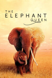 The Elephant Queen (2019)
