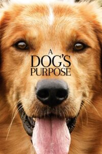 A Dog’s Purpose หมา เป้าหมาย และเด็กชายของผม (2017) พากย์ไทย