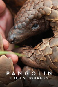 Pangolin Kulu s Journey การเดินทางของคูลู (2025)