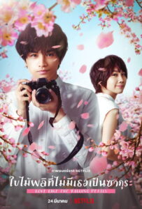 Love Like the Falling Petals (My Dearest, Like a Cherry Blossom) ใบไม้ผลิที่ไม่มีเธอเป็นซากุระ (2022)