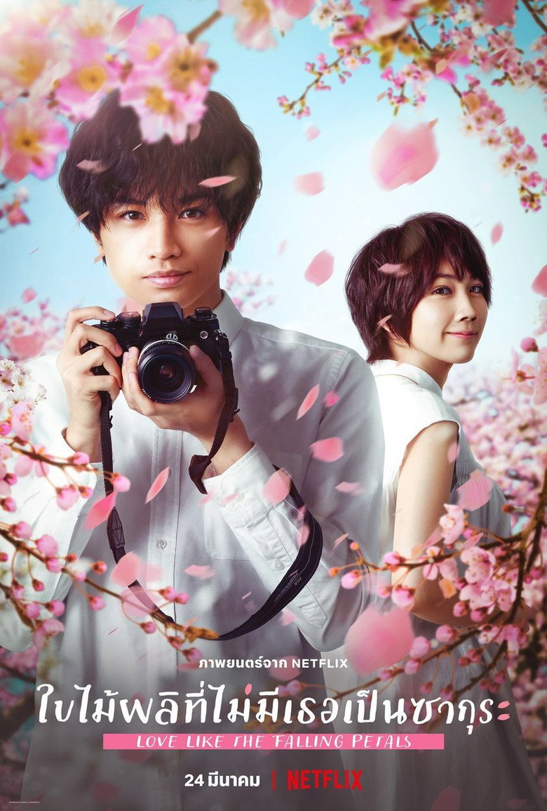 Love Like the Falling Petals (My Dearest, Like a Cherry Blossom) ใบไม้ผลิที่ไม่มีเธอเป็นซากุระ (2022)