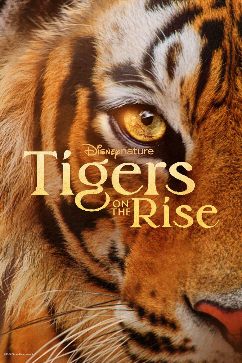 Tigers on the Rise (2024)