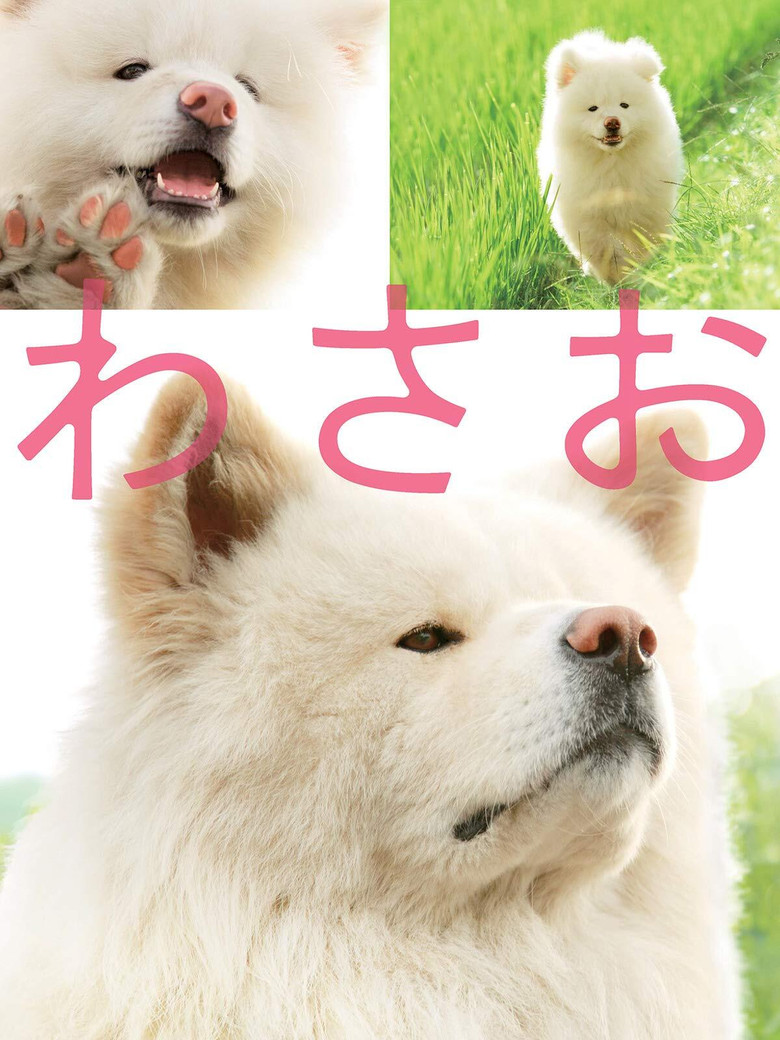 Wasao วาซาโอะ (2011)