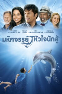 Dolphin Tale 1: มหัศจรรย์โลมาหัวใจนักสู้ (2011) พากย์ไทย