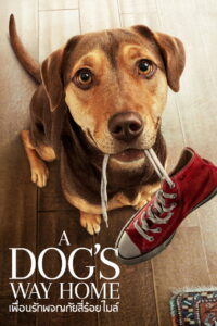 A Dog’s Way Home เพื่อนรักผจญภัยสี่ร้อยไมล์ (2019)