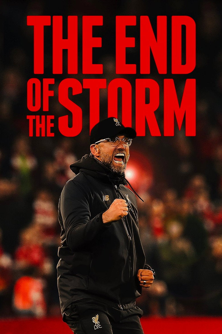 The End of the Storm (2020)